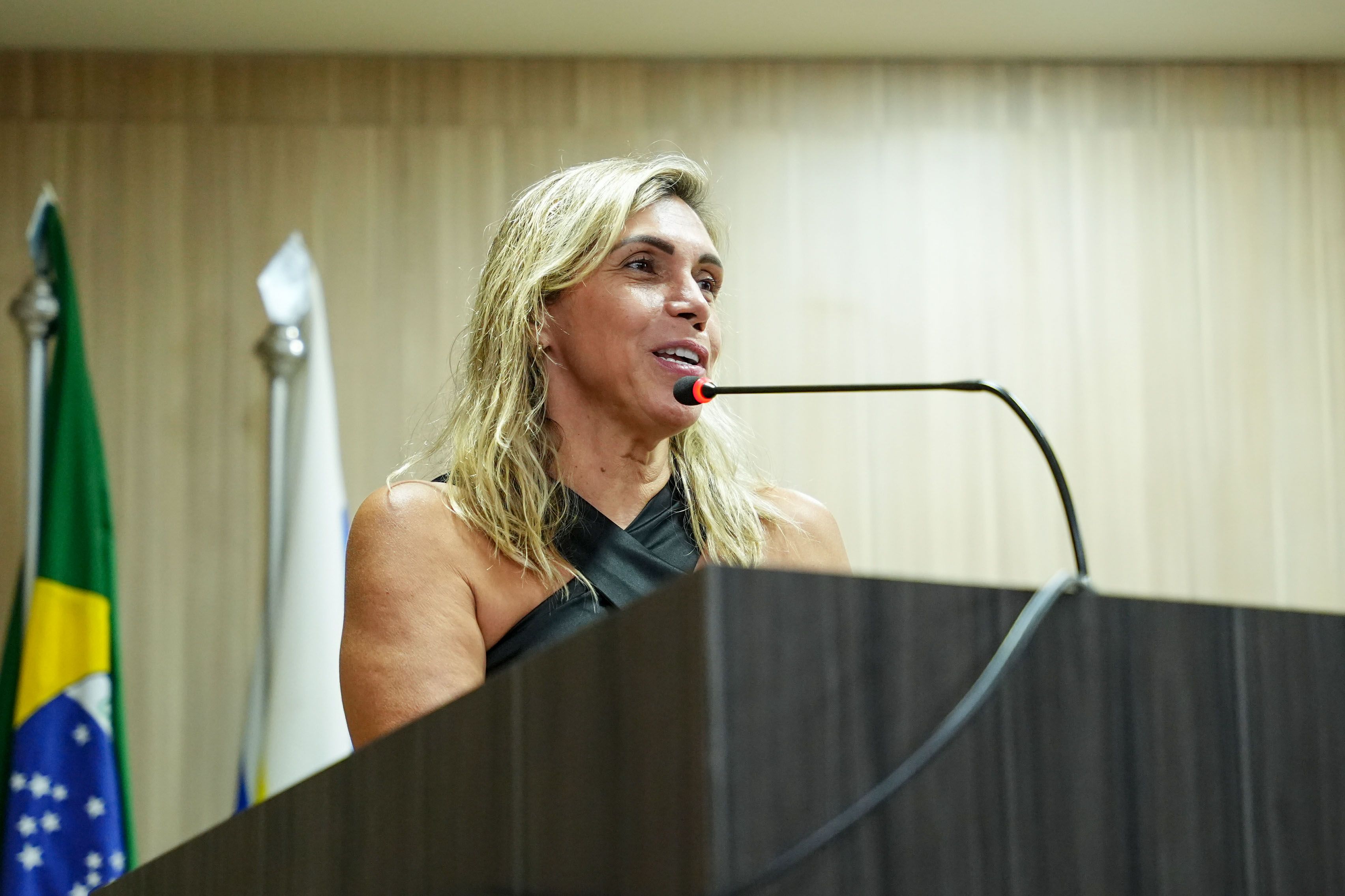 Irisneide Ferreira reforçou a importância das correições aos mostrar as falha e vitórias da Defensoria Pública