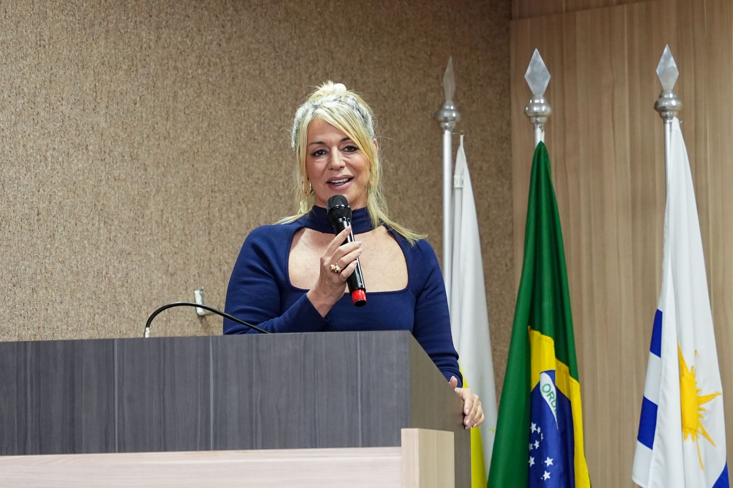 Estellamaris Postal lembrou que alguns avanços na Defensoria Pública só foram possíveis graças às parcerias das autoridades federais e estaduais