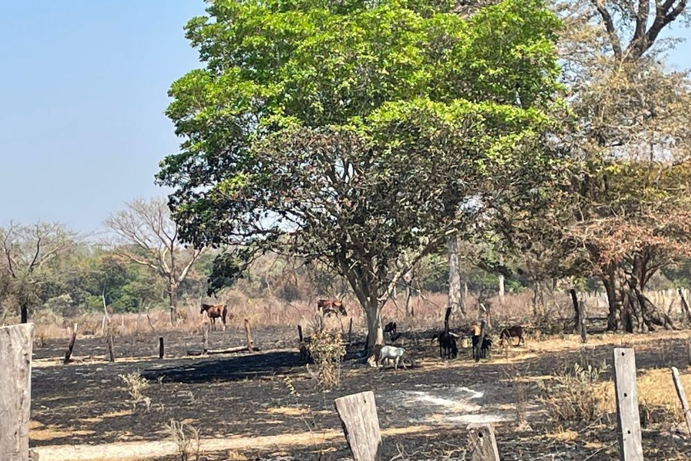 A DPE emitiu Recomendação ao município de Formoso do Araguaia para que proceda com medidas emergenciais às famílias assentadas