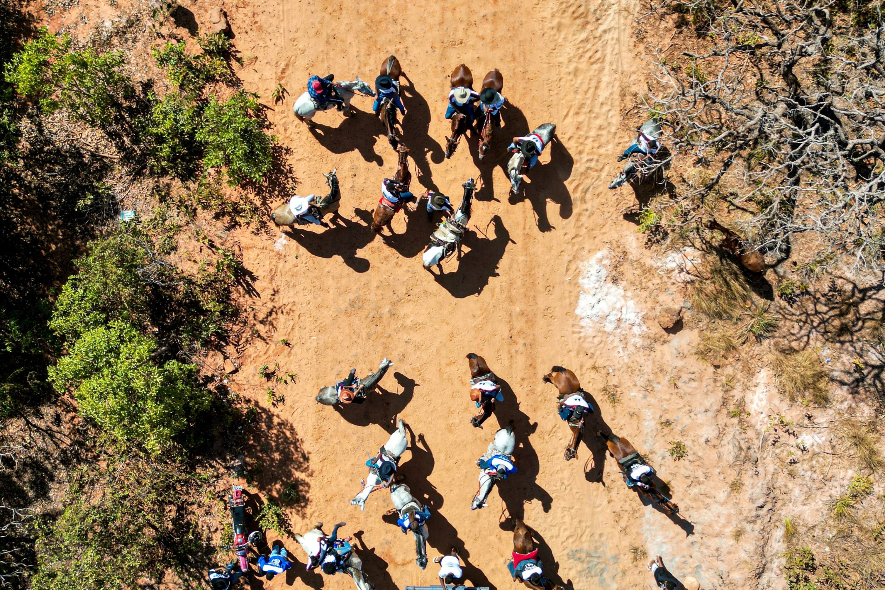 Cavalgada Dourada: jovens do Quilombo montam a cavalo para relembrar o transporte utilizado nas colheitas de capim