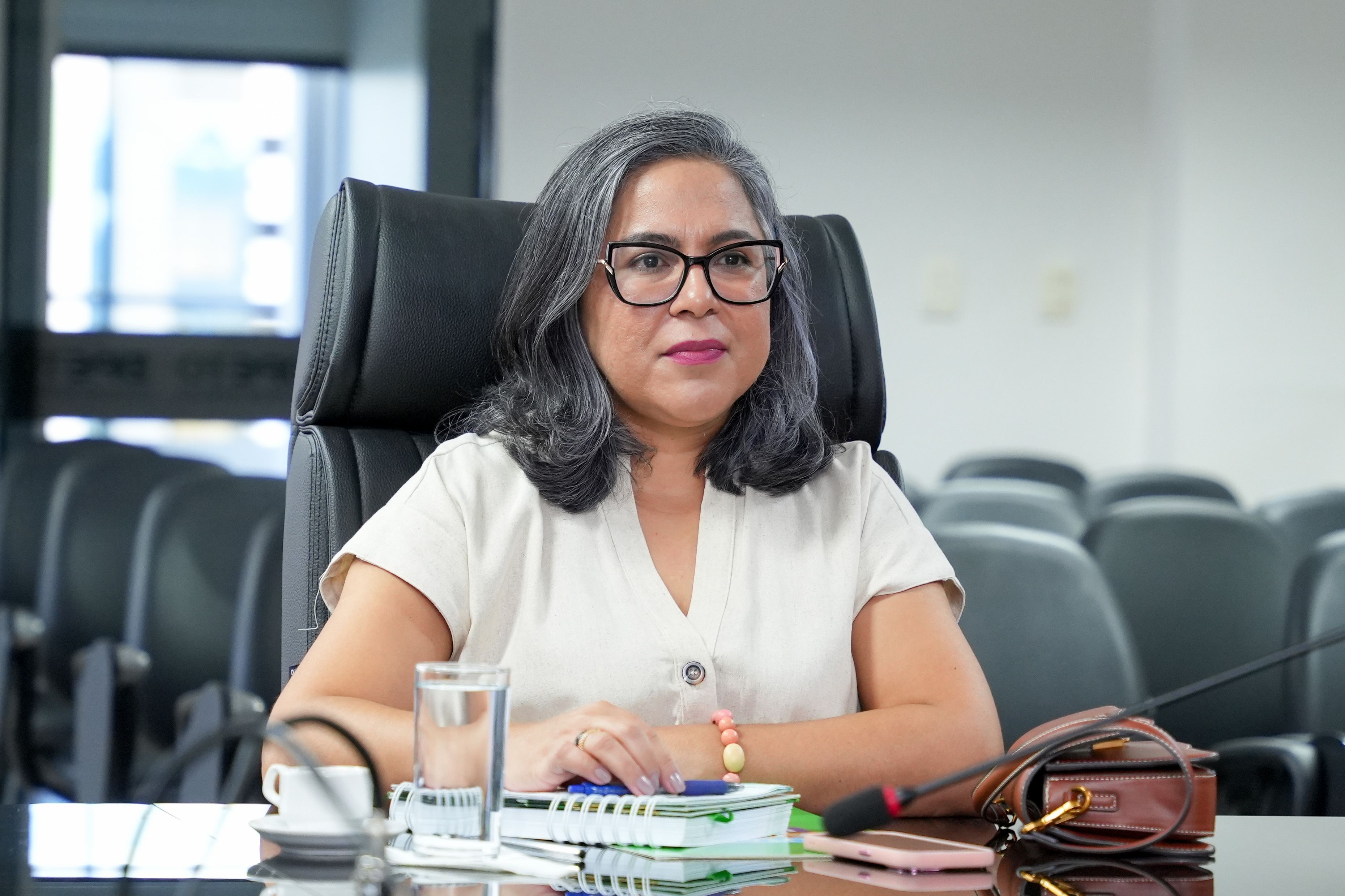 Kenia Martins Pimenta, coordenadora do Núcleo da Defensoria Pública Agrária e Ambiental também participou do encontro.