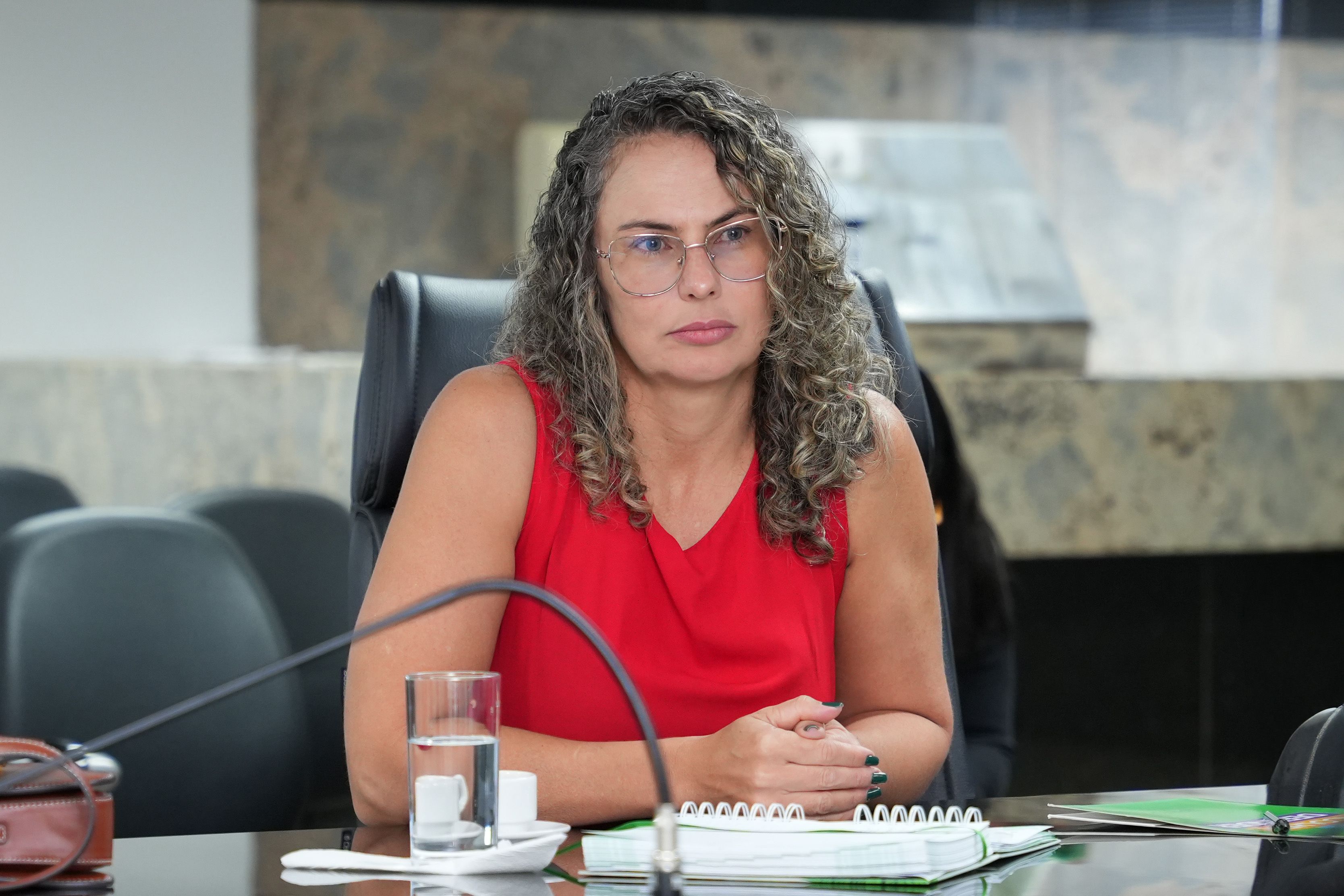 A coordenadora do Núcleo Especializado de Defesa dos Direitos Humanos, Franciana Di Fátima Cardoso Costa, esteve presente no encontro.