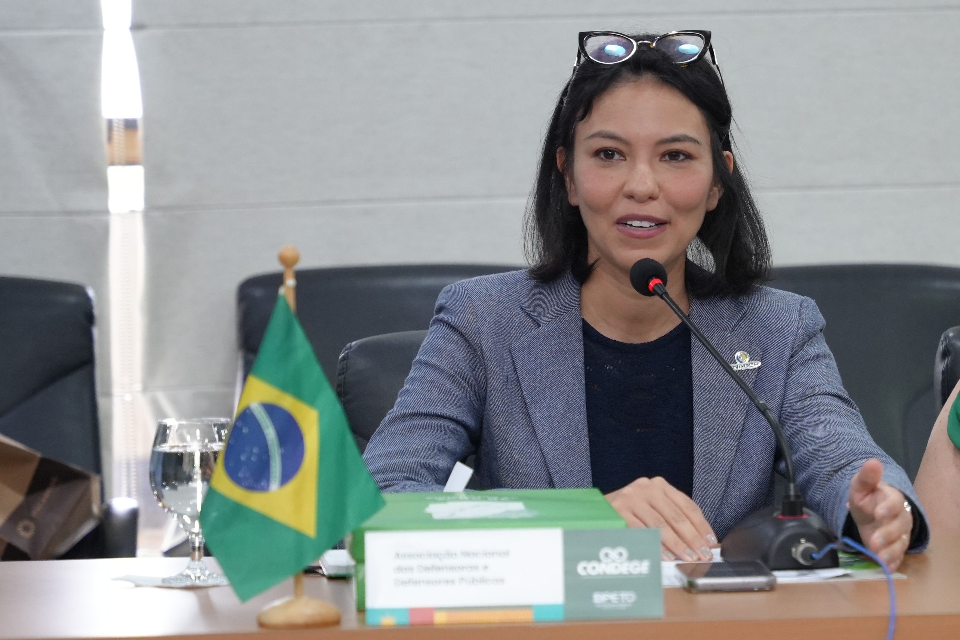 Fernanda Fernandes referenciou o modelo tocantinense de trabalho prestado pela Defensoria Pública