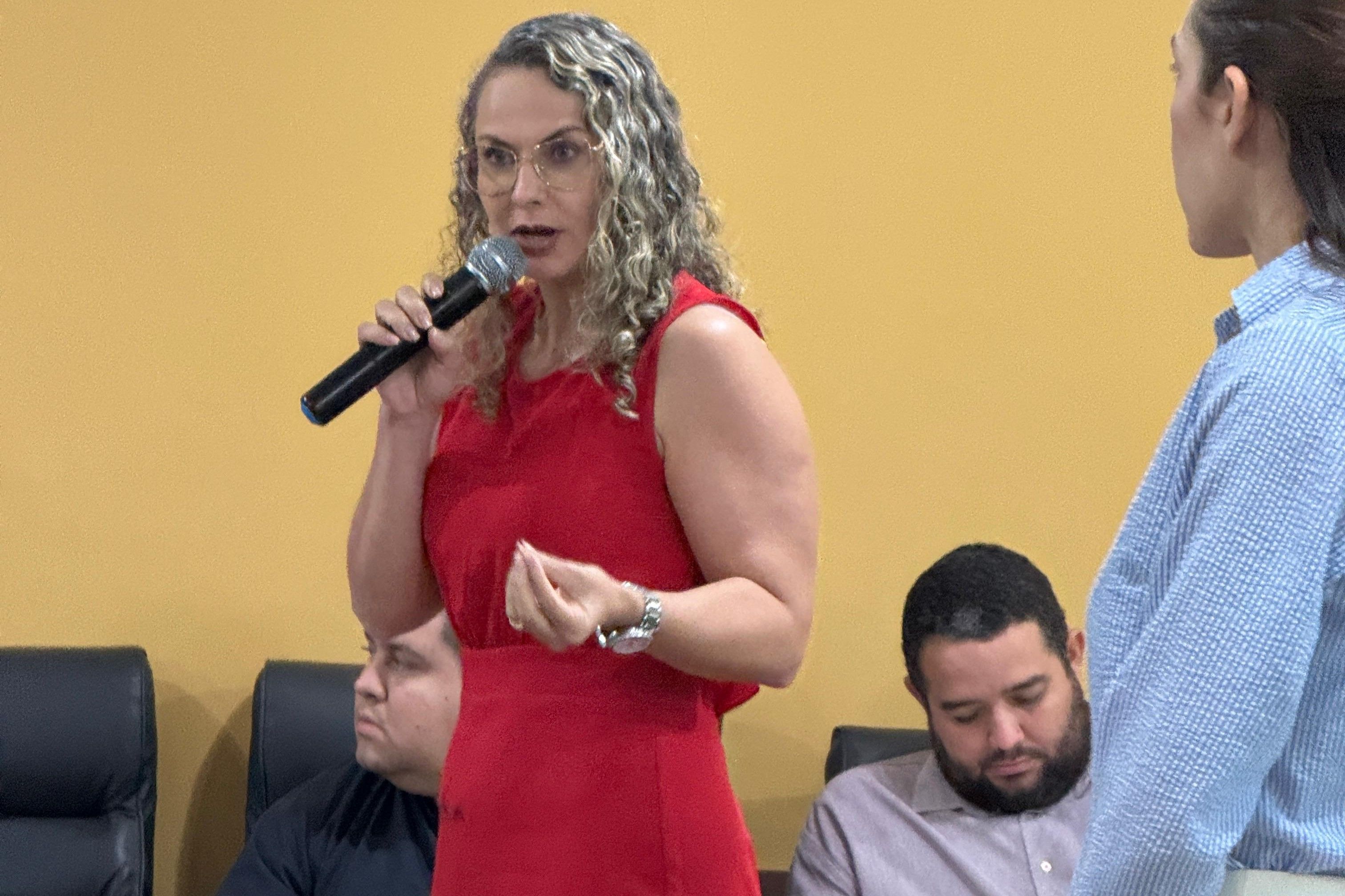 Na oportunidade a Defensora Pública encaminhou algumas sugestões a serem incluídas no PPA