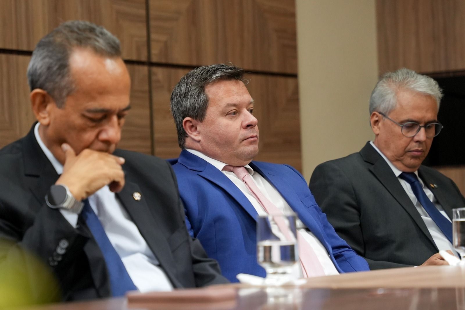 O 2º subdefensor público-geral do Estado, Danilo Frasseto Michelini representou a DPE-TO