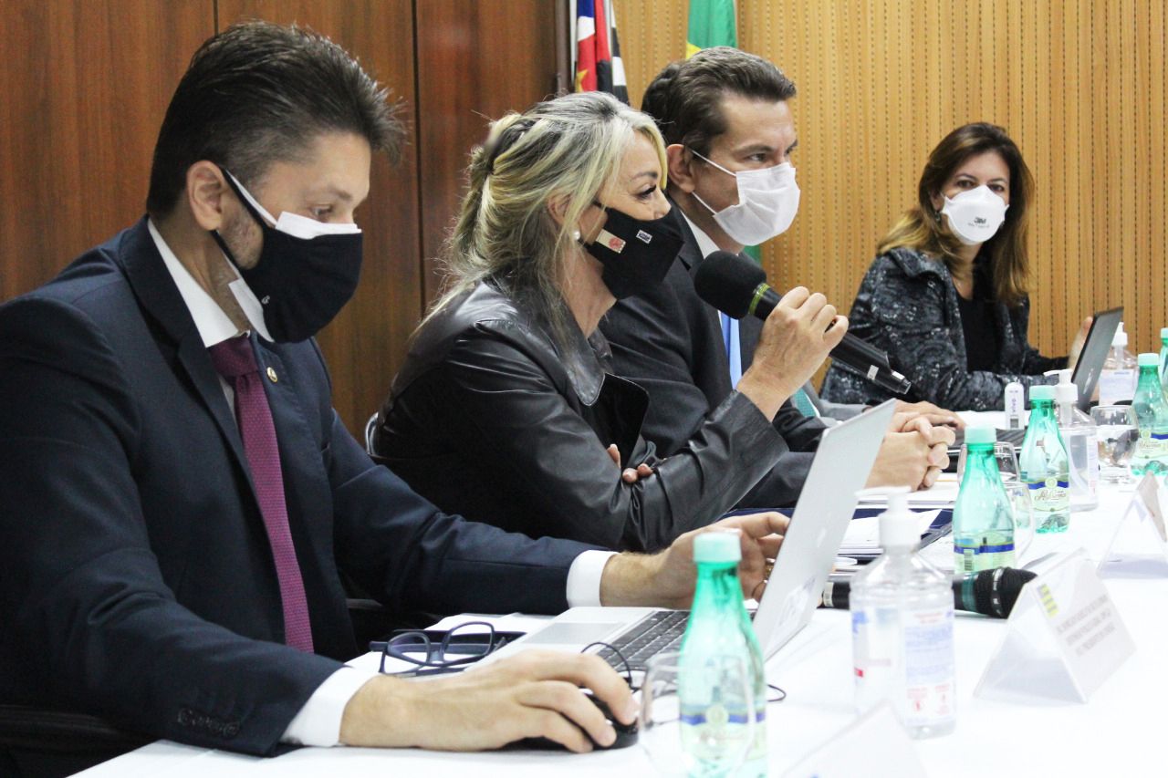 Estellamaris Postal coordenou as atividades e reuniões realizadas em São Paulo