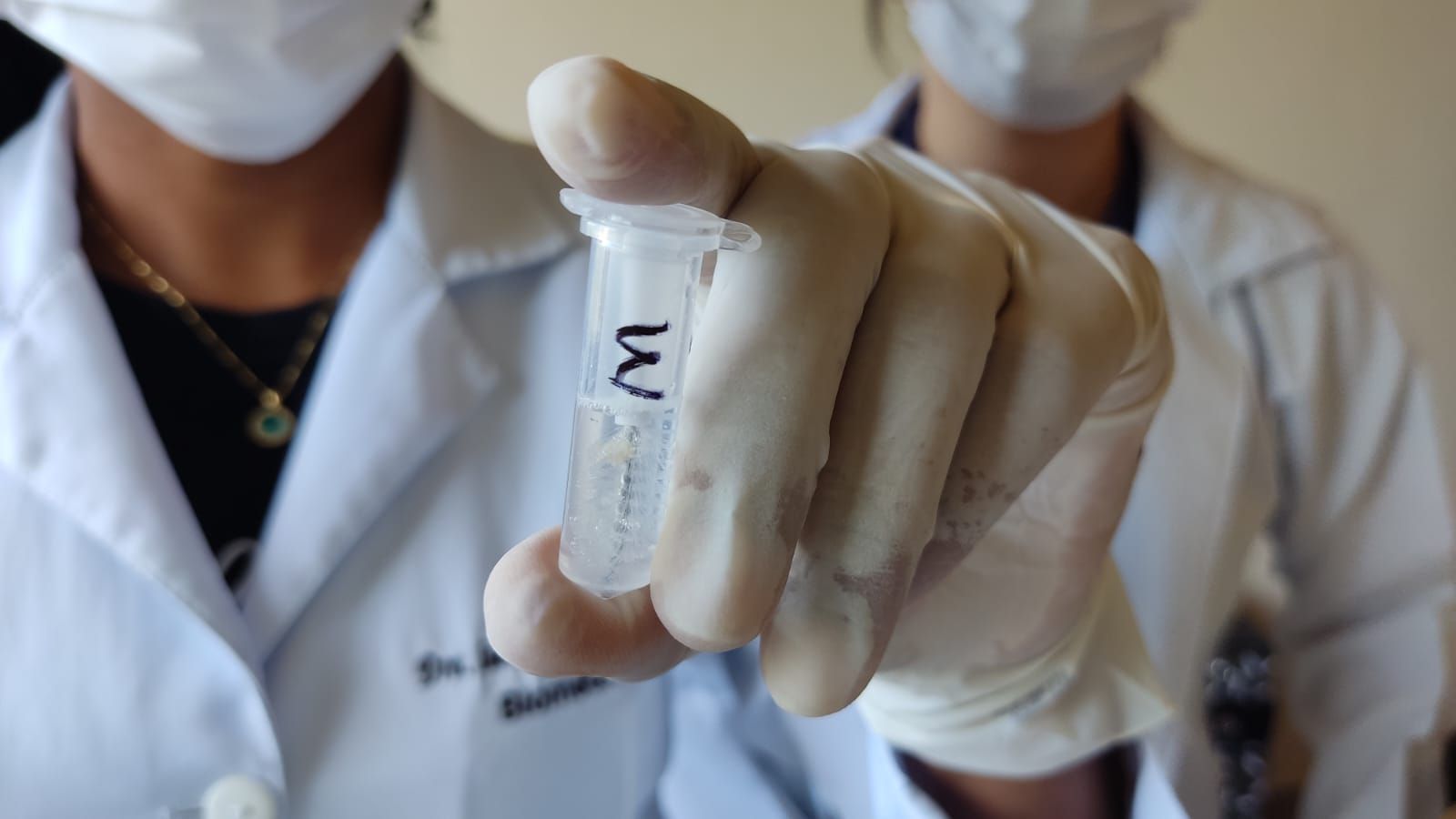 Durante ação foram feitos exames de DNA com preços mais acessíveis