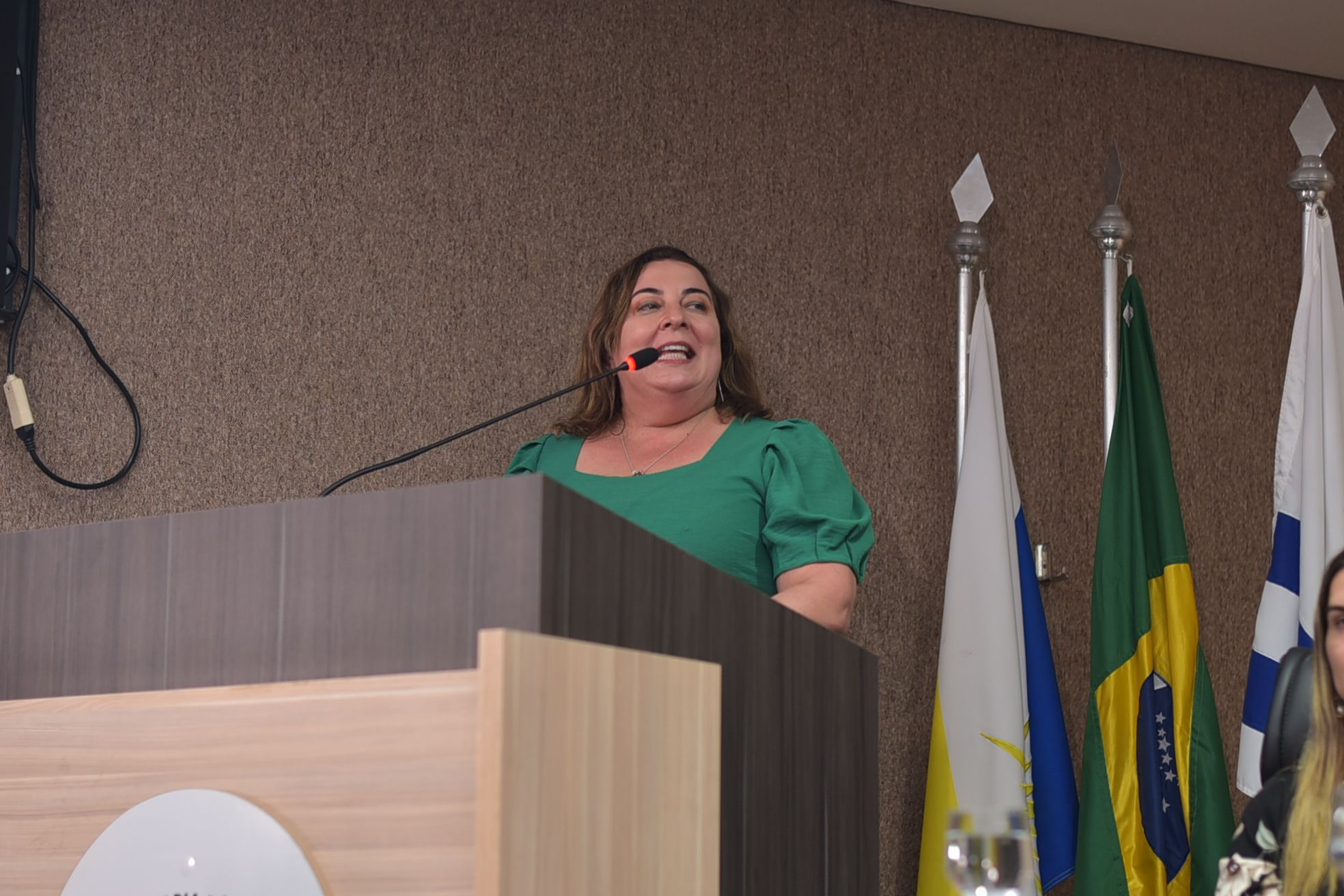 Vice-presidenta da Anadep, Juliana Lintz destacou que deseja que este novo