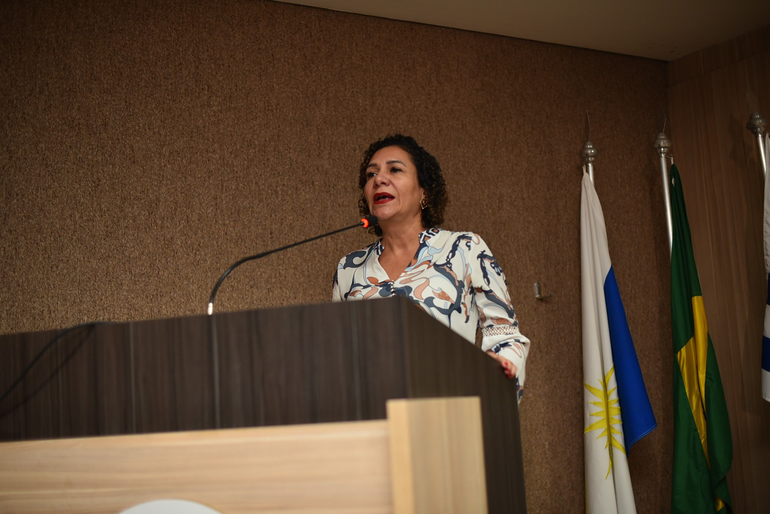Presidente do Conselho Penitenciário do Estado do Tocantins, Sibele Letícia Rodrigues de Oliveira Biazotto