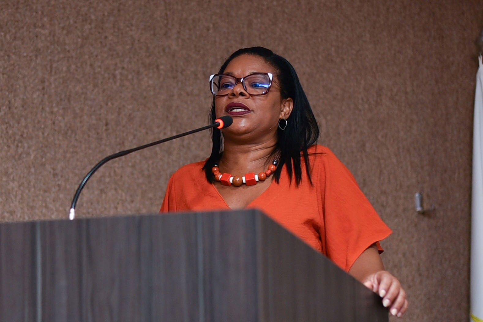 Representante da Agenda Nacional pelo desencarceramento, Elaine da Paixão