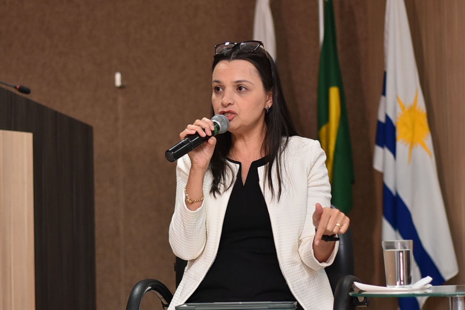 Professora de Direito Penal, Processo Penal, Criminologia e Direitos Humanos, Andrea Cardinale Urani Oliveira de Morais