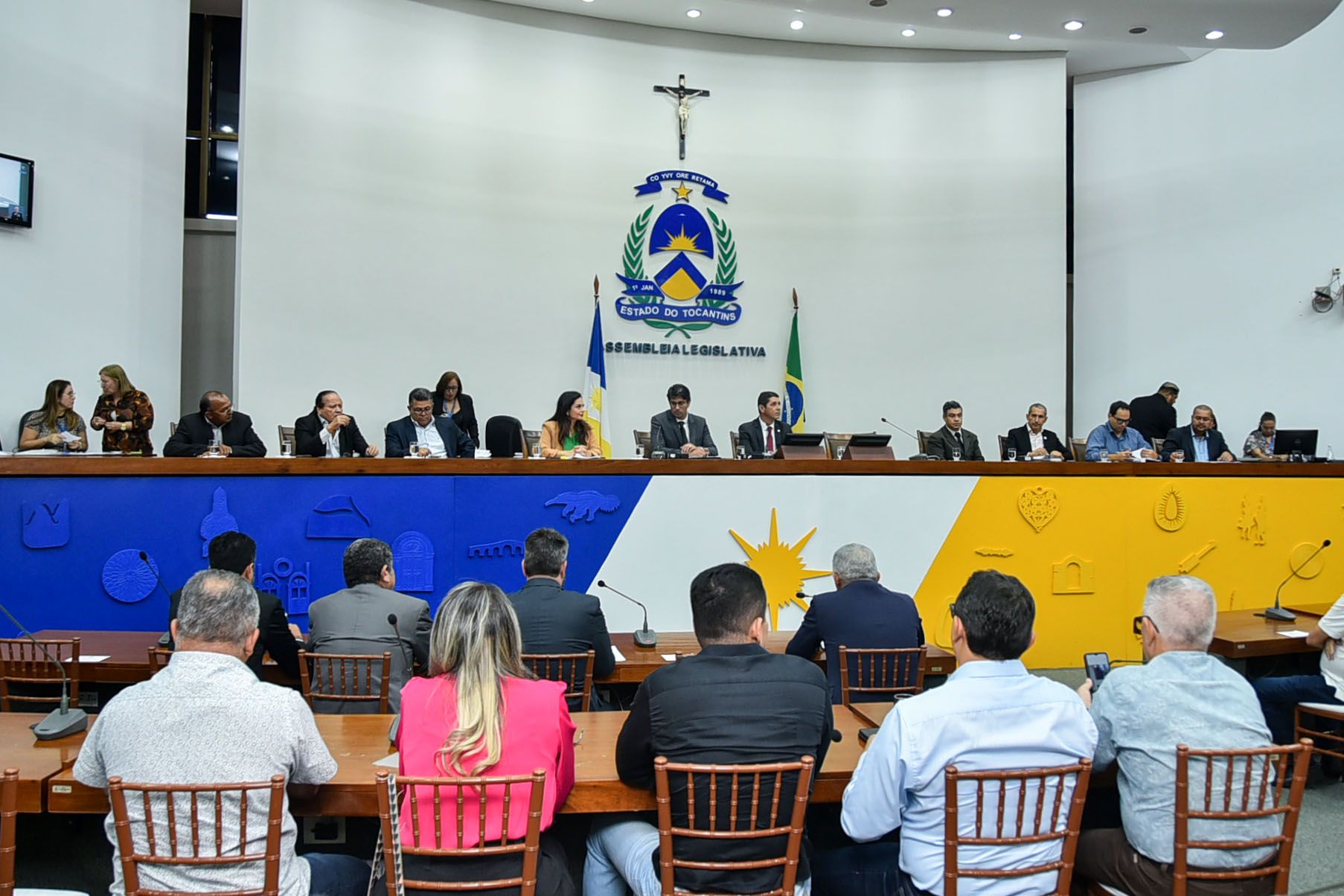 Audiência pública foi realizada pela Comissão de Saúde e Assistência Social, presidida pelo deputado estadual Valdemar Júnior