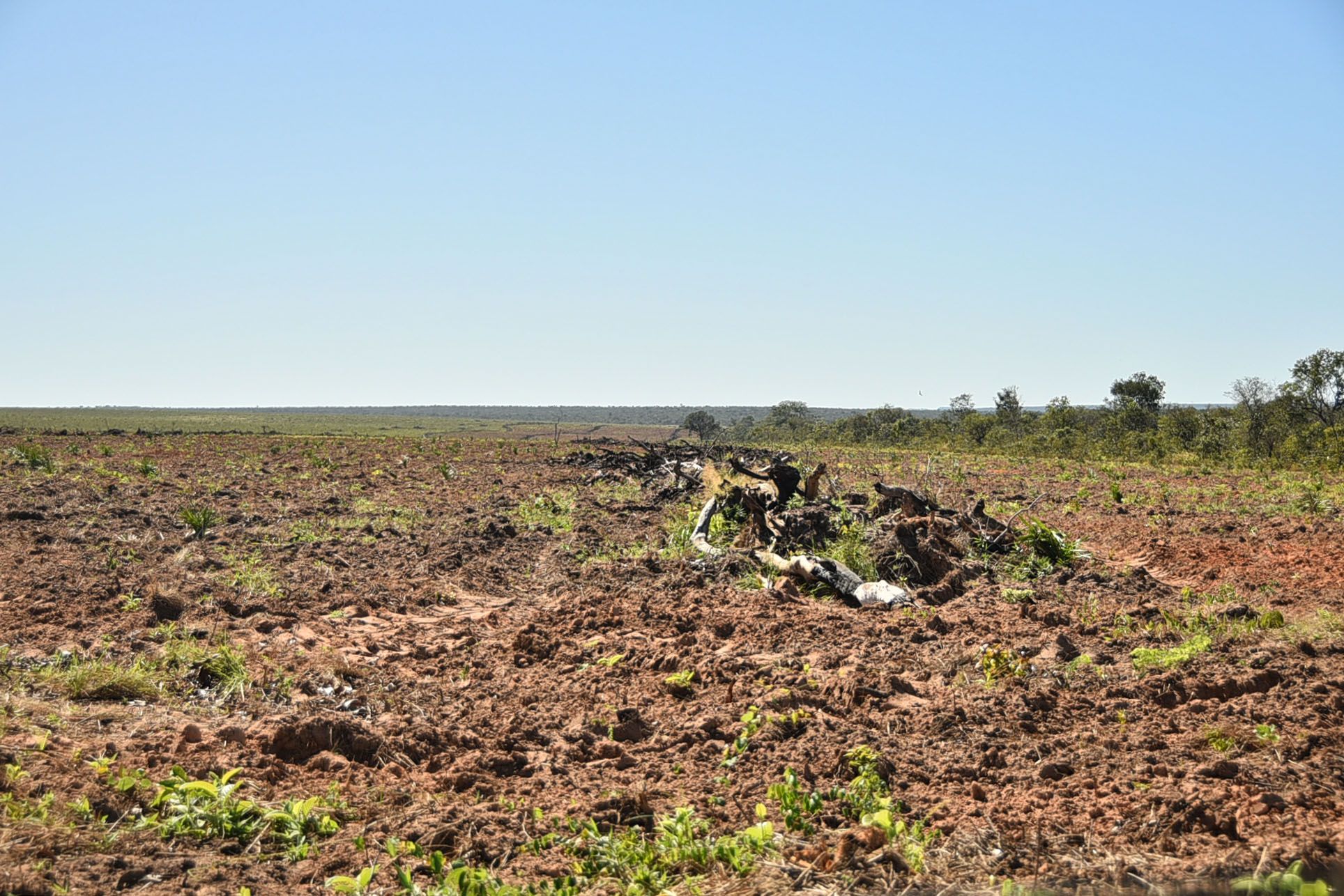 Ainda na região, outra situação constatada pela Defensoria Pública são os desmatamentos e uso de agrotóxicos que têm contaminado rios, prejudicando as famílias que moram e utilizam as águas dos rios para sobrevivência
