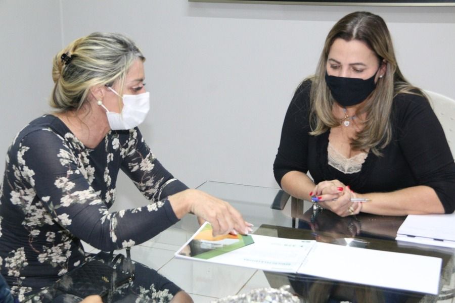 Em janeiro de 2021, Estellamaris  Postal apresentou à então deputada Dulce Miranda (D) projetos da DPE-TO, entre eles, a proposta das sedes próprias e sustentáveis