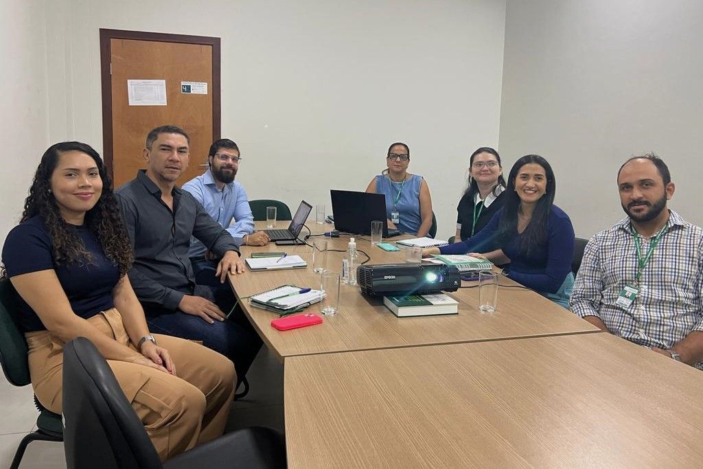 Equipes técnicas da DPE-TO e DPE-MT em reunião nesta quinta-feira, 28, sobre o projeto dos Econúcleos
