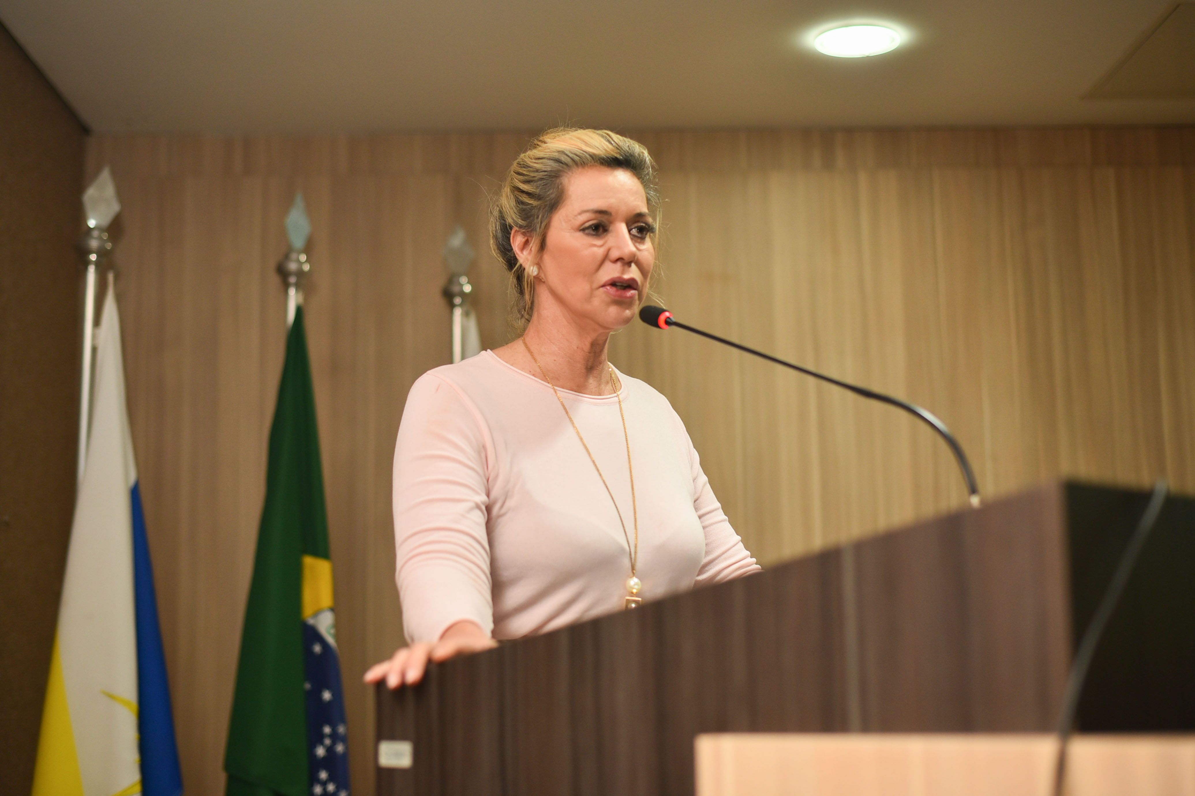 Estellamaris Postal disse que a atuação Júlio Resplande ajudou a consolidar a Defensoria Pública do Tocantins como uma instituição de relevância incontestável