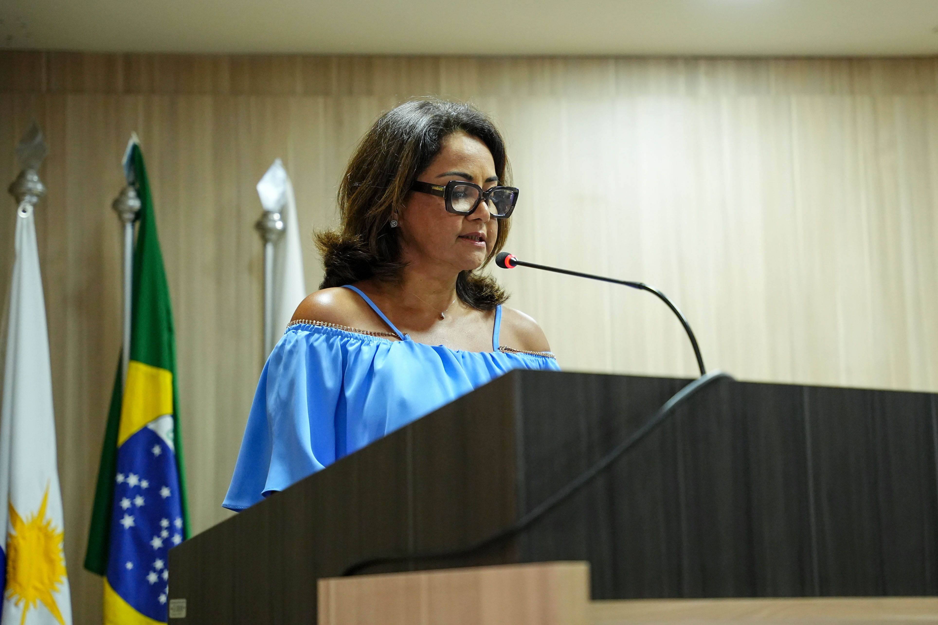A corregedora-geral Arassônia Figueiras destacou o papel da Defensoria Pública perante a sociedade