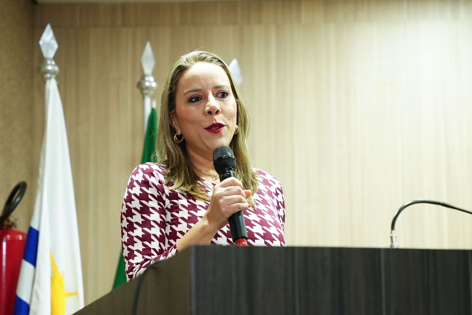 Coordenadora do Nucora, Letícia Amorim falou sobre o projeto "Defensorias do Araguaia"
