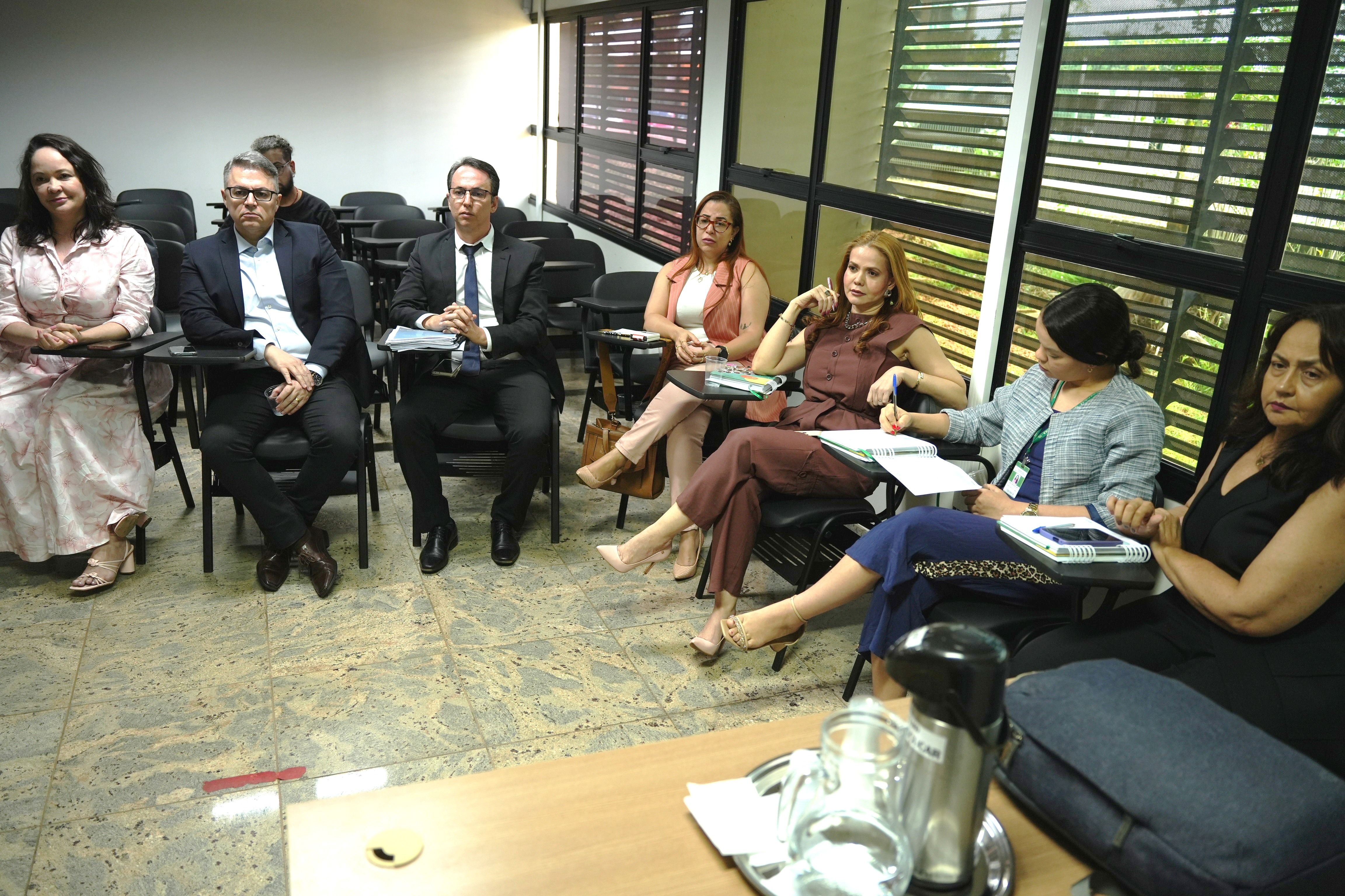Equipe da DPE-TO que participou da reunião