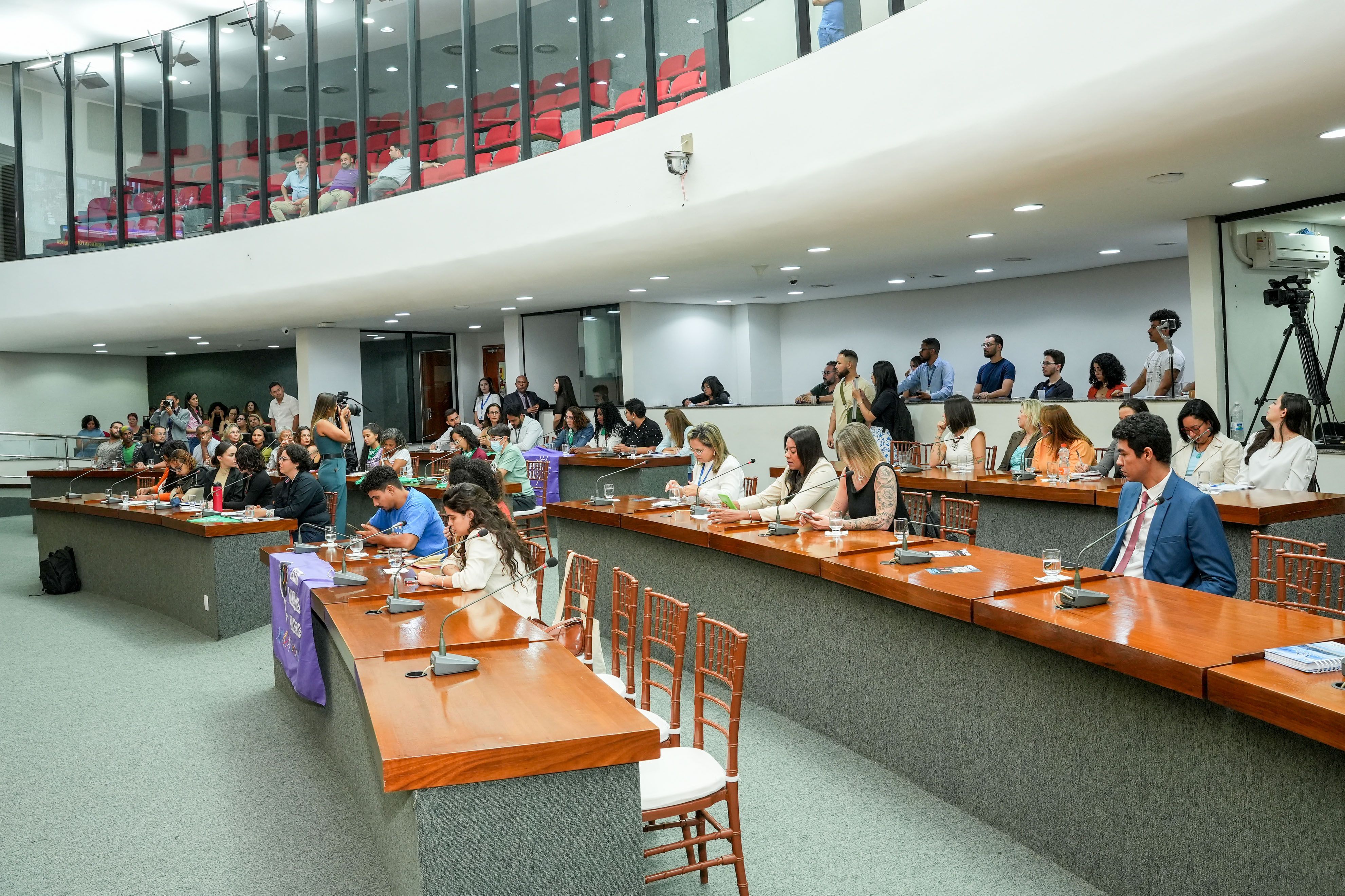 A audiência reuniu representantes de diversas entidades e instituições de defesa da mulher.