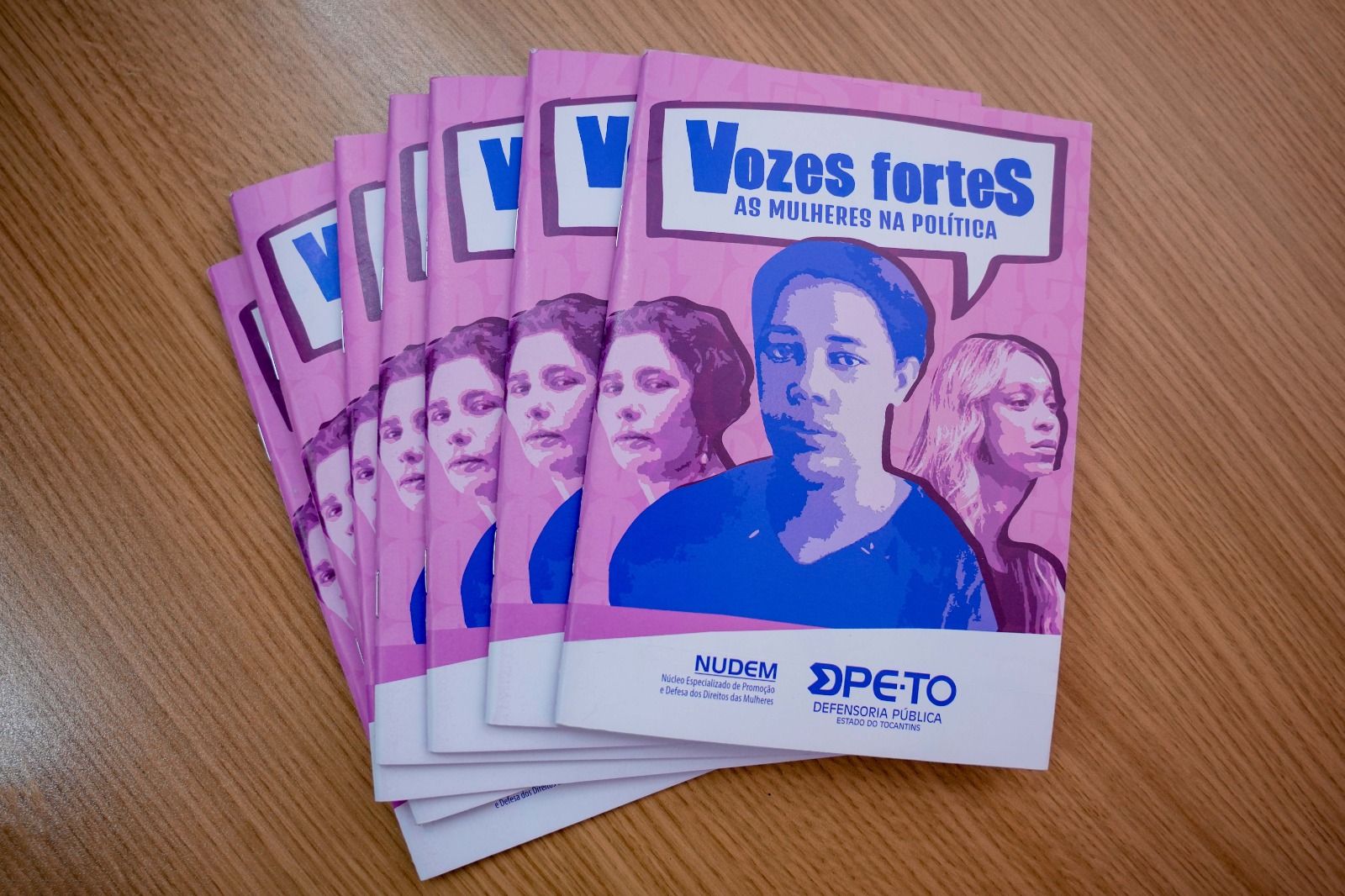 Cartilhas foram impressas e também foi disponibilizada no site da DPE-TO