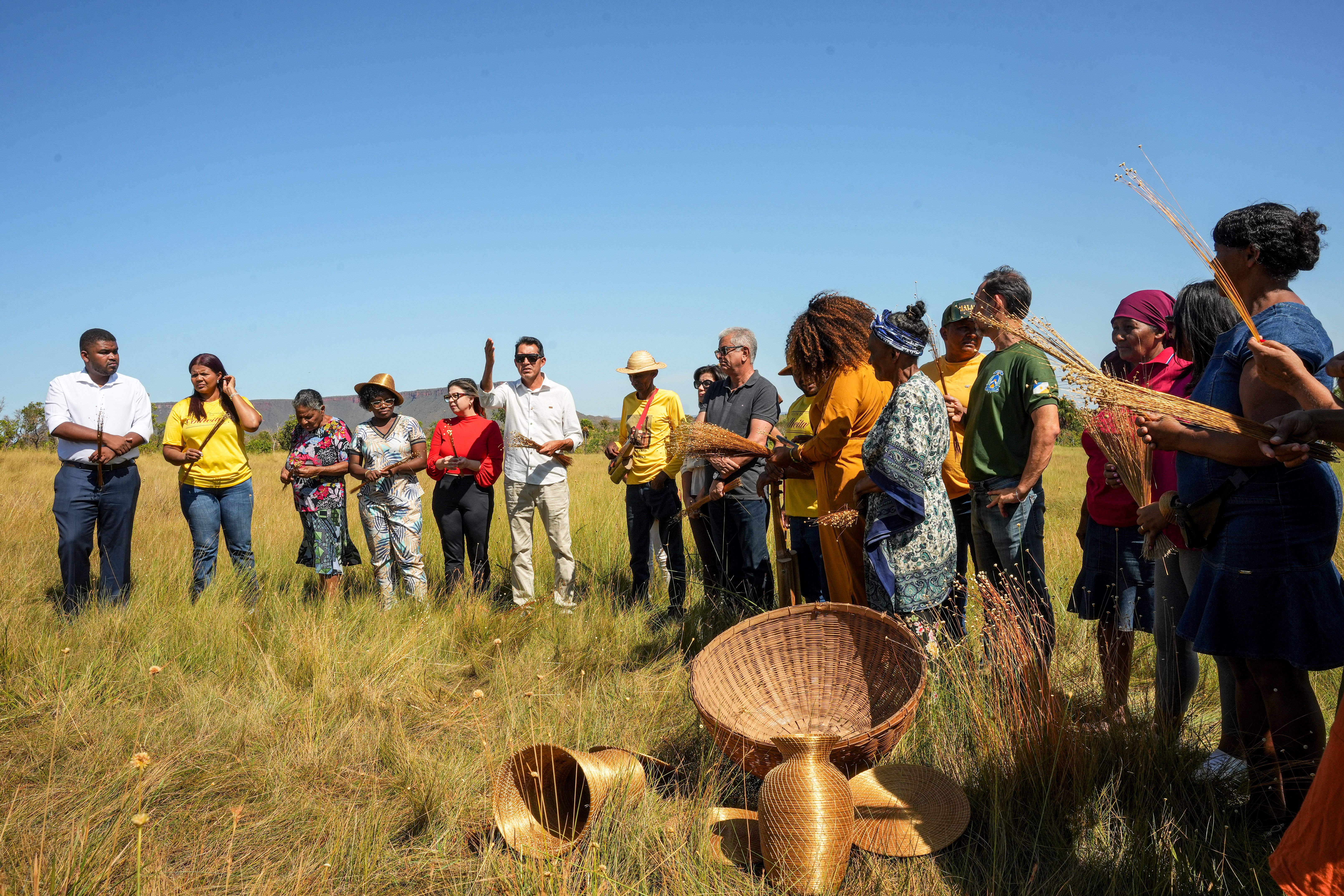 Visita ao campo de colheita demonstrativa