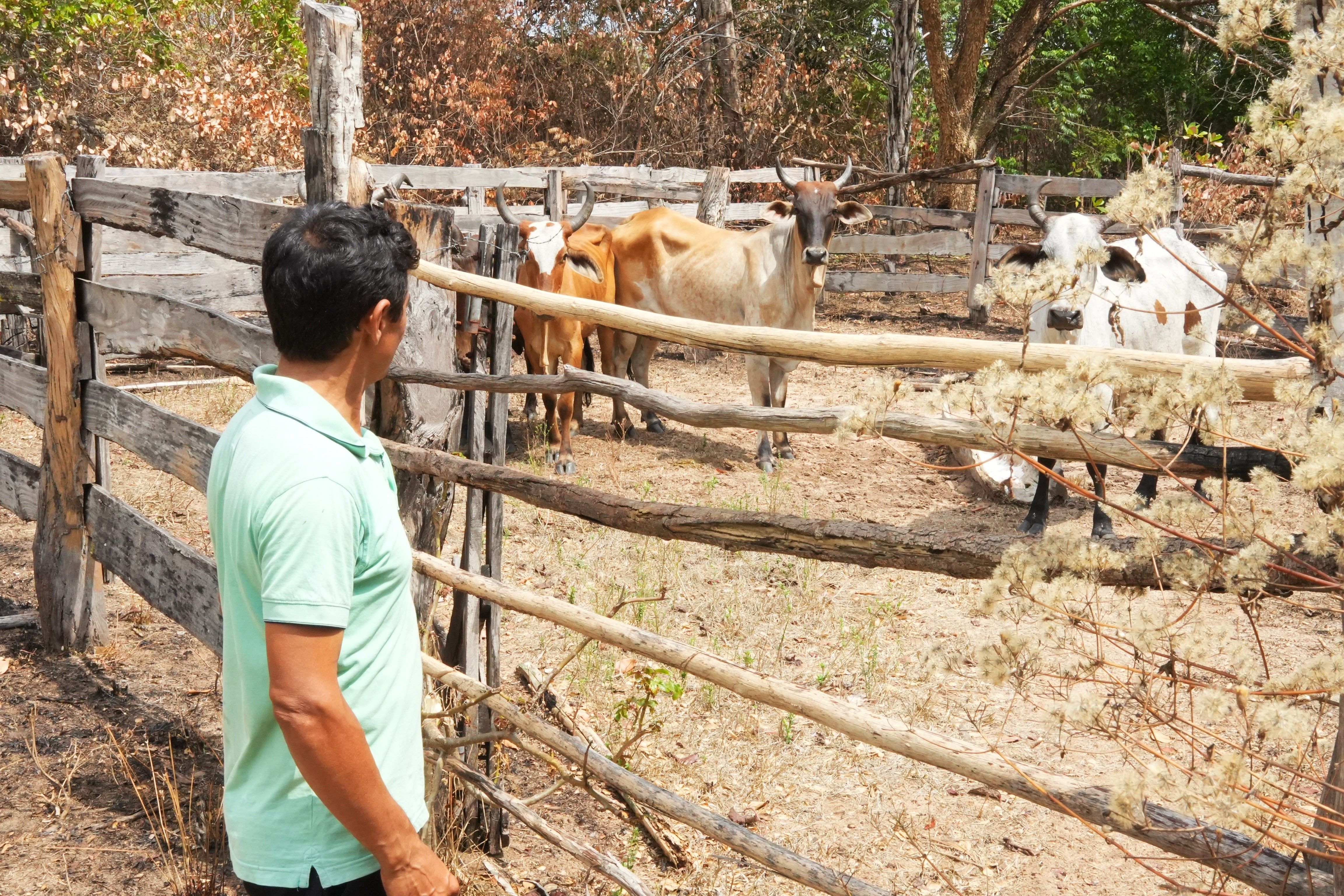 Entre as culturas praticadas, destacam-se a criação de gado com manejo tradicional em áreas nativas, pequenas lavouras e extrativismo de frutos do cerrado