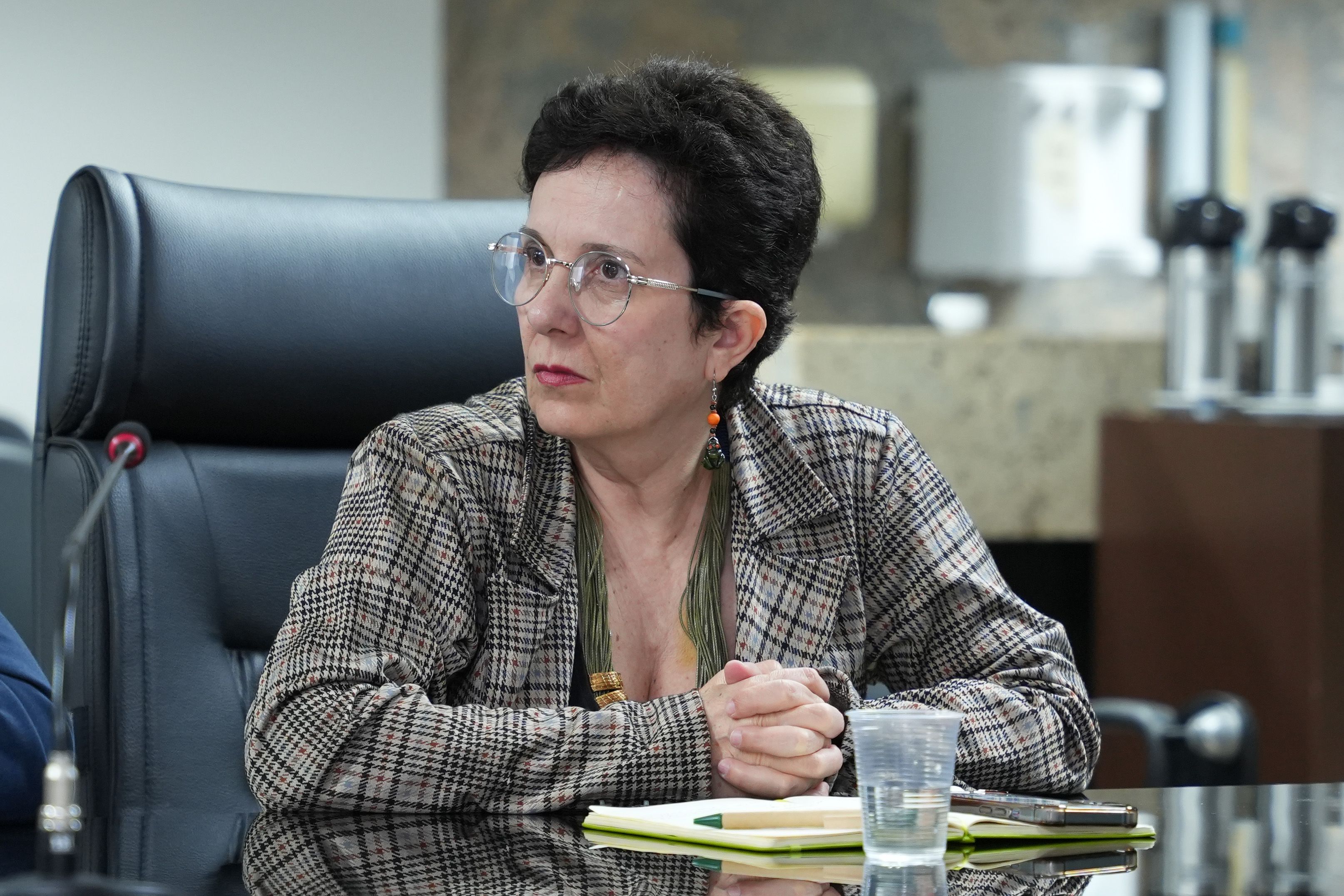 Superintendente de Gestão e Políticas Públicas Ambientais Marli Teresinha esteve na reunião