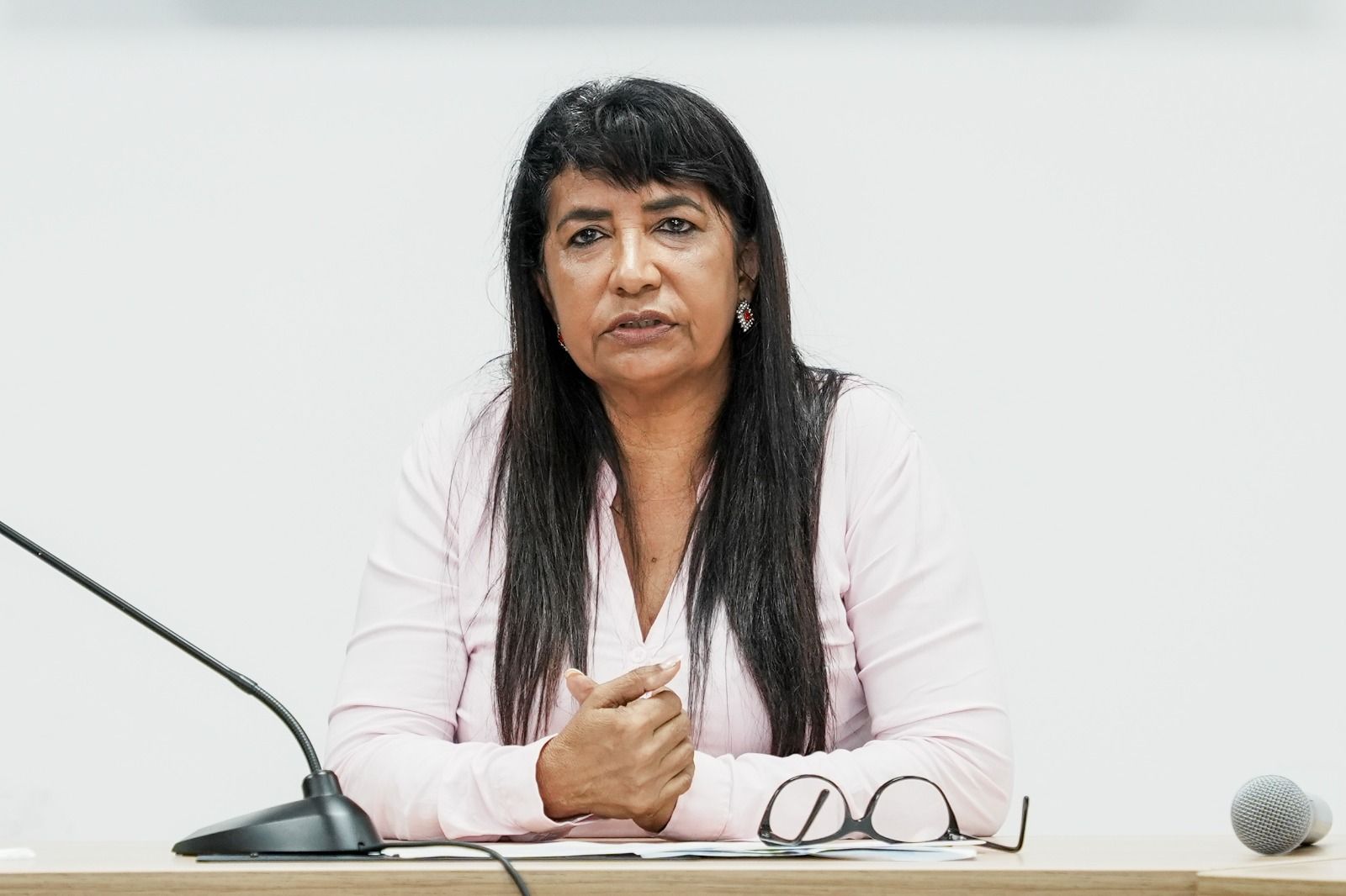 Terezinha Aquino, destacou que uma das metas da Caravana deste ano é dobrar o número de municípios atendidos.