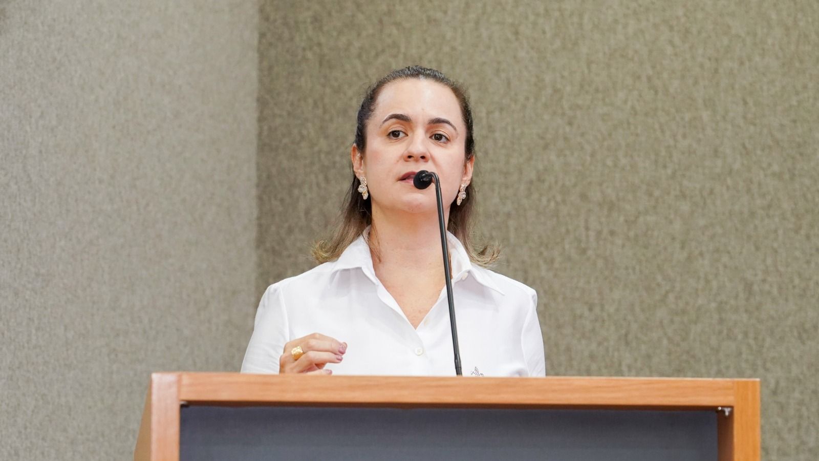A defensora pública Pollyana Assunção destacou a ação da Defensoria Pública durante o evento