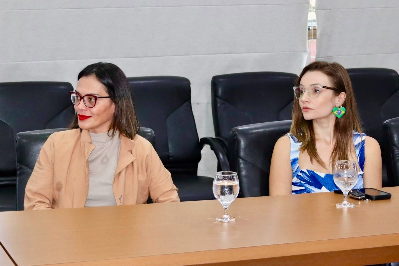 A coordenadora em substituição do Núcleo Especializado de Promoção e Defesa dos Direitos das Mulheres (Nudem), defensora pública Flávia Hardt Schreiner, participou do evento